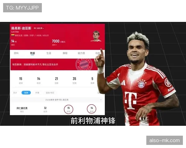 世界杯K组比赛走势推演